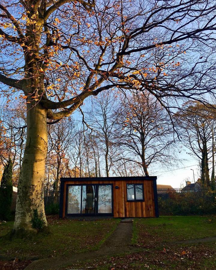 Cozy Snowdonia Chalet 카나번 외부 사진